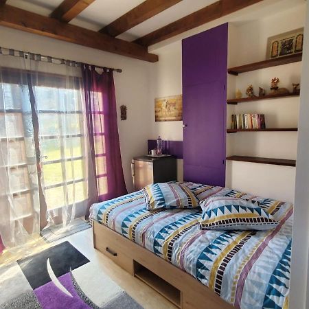 Maison Le Lezard Chez Amalia Et Fred Тонон-ле-Бен Экстерьер фото